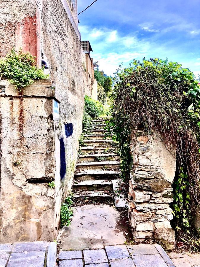 Villa Campana - Bastia Centre Dış mekan fotoğraf
